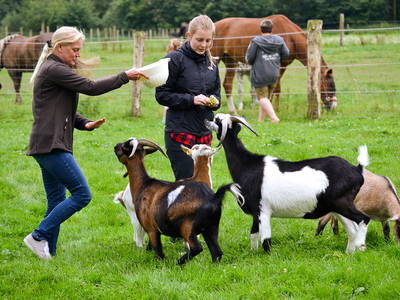 Bild 6 aus  LandSelection Gut Gaarz