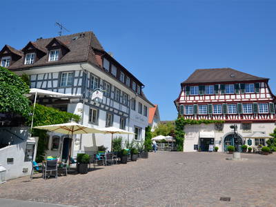 Bild 3 aus  Ferienhof Mecking