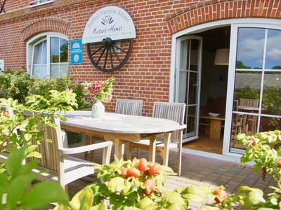 Terrasse in der Ferienwohnung
