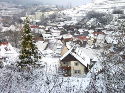 Bild 3 aus  Winzerhof