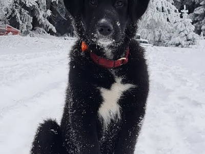 Bild 27 aus  Farnbauernhof