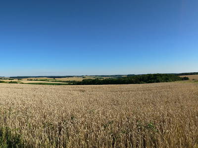 Bild 9 aus  Pension Landhaus Fischer