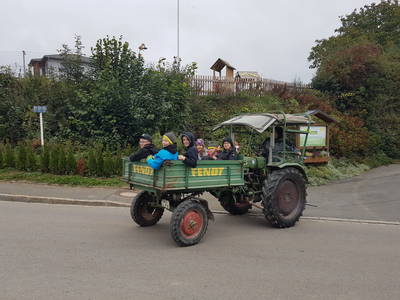 Bild 29 aus  Simmernhof - Familienurlaub auf dem Bauernhof