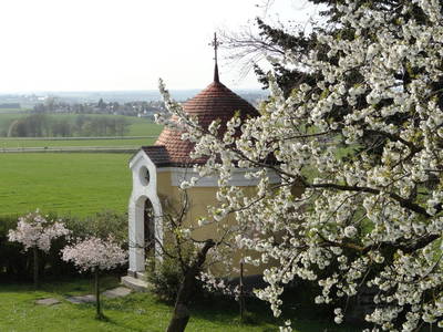 Kapelle währen der Kirschblüte
