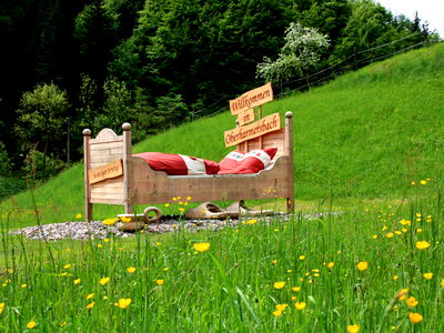 Bild 5 aus Bläsihof