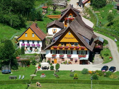 Bild 11 aus  Hansenhof