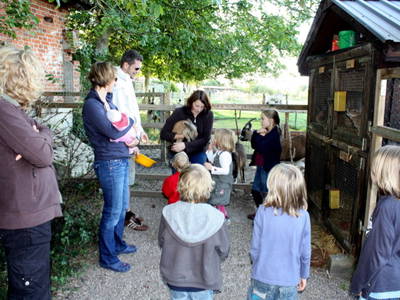 Tägliche Fütterrunde