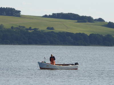 Bild 36 aus  Ferienhaus Gut Rattelvitz-INSEL RÜGEN