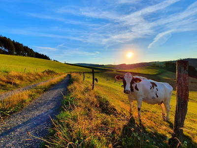 Bild 15 aus  Berges Glück