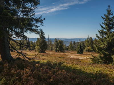 Bild 33 aus  Grashöfle