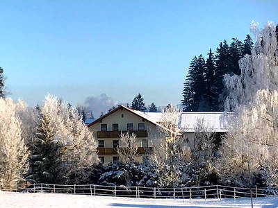 Bild 27 aus  Ferienhof am Mehlbach