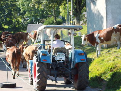 Bild 6 aus  Rotenhof - ein Hof mit Weitblick