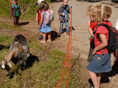 Bild 11 aus  Kirnermartes Hof