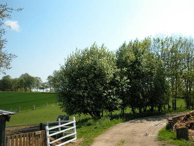 Bild 20 aus  Baustrup Hof