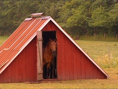 Bild 16 aus  Ferienhof Ebsen