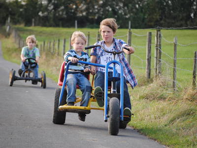 Bild 25 aus  Görgenhof - Gnadenhof für Bauernhoftiere