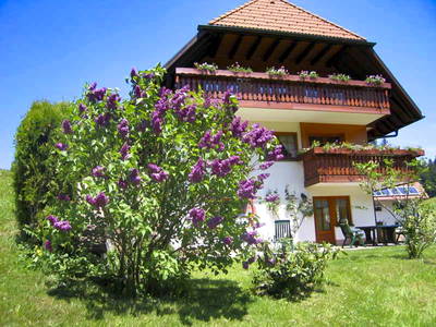 Bild 2 aus  Schreinerhäusle