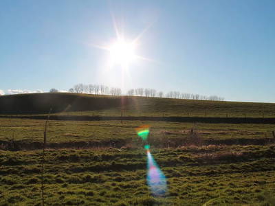 Bild 17 aus  Hof Hospitalmühle