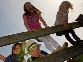 Bild 5 aus  Kirnermartes Hof