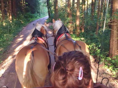 Bild 28 aus  Reiherhof