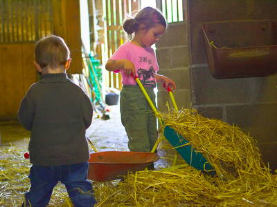 Bild 7 aus  Ökonomiehof