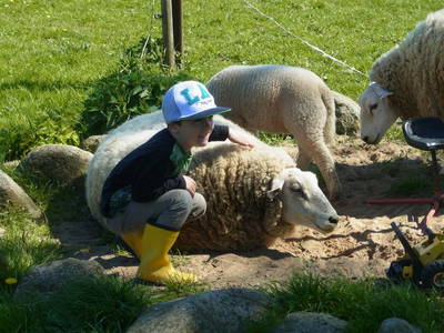 Bild 46 aus  Baustrup Hof