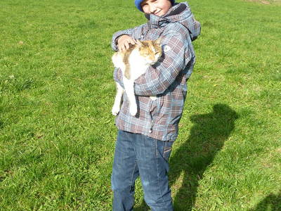 Bild 11 aus  Oberhöfenhof