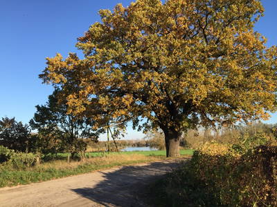 Mit dem Fahrrad am Südufer der Havel Richtung Westen
