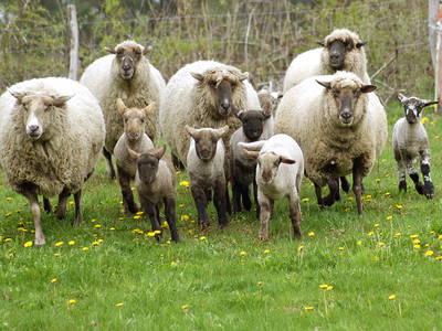 Bild 11 aus  Behringhof am Gamengrund