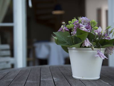 Bild 4 aus  LandSelection Ol' Backhus