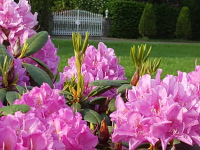 Bild 14 aus  Warnken-Urlaub