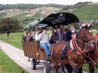 Bild 24 aus  Ferienweingut Willems, Maria Willems