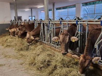 Bild 11 aus  Oberbacherhof