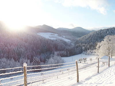 Bild 27 aus  Hirzighof