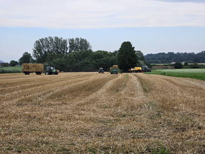 Bild 15 aus  Fürstenberger Hof