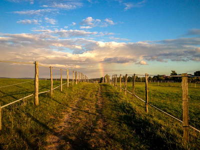 Bild 6 aus  Pferdehof Ruhnau FN