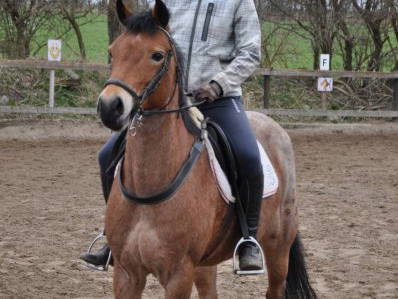 Bild 17 aus  Ferienhof Rauert