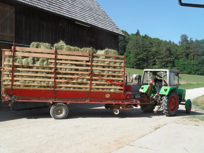 Bild 18 aus  Erlebnishof am Kordigast