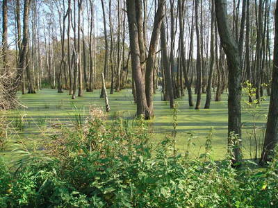 Bild 17 aus  Ferienhaus Zur Tenne