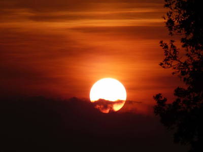 Bild 137 aus  Le Colombié - Ferienhäuser an der Dordogne mieten