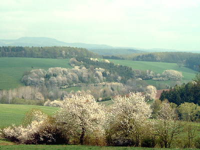 Bild 11 aus  Ferienhof Am Wunderberg