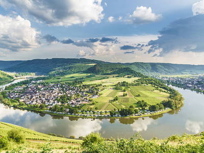 Bild 8 aus  Pension und Gutsweinschänke Müllers