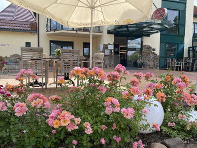 Bild 13 aus  Kur- & Landhotel Borstel Treff