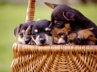 Bild 13 aus  Hof Kaltofen