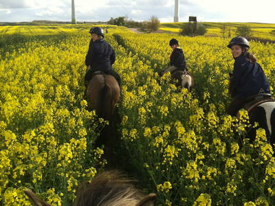 Bild 8 aus  Landhaus Parsteinsee