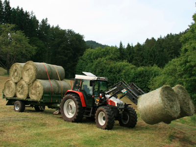 Bild 18 aus  Bierpeterhof