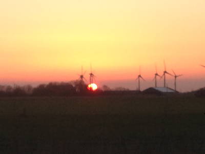 Bild 21 aus  Hof Meyenburg