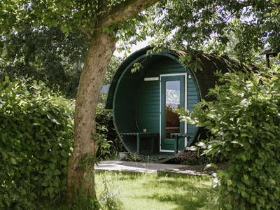 Bild 11 aus  Gut Royum