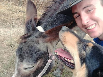 Bild 31 aus  Freizeit- und Ferienreiterhof Odenwald