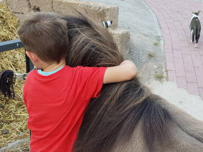Mogli, das kleinste Pony - zum Kuscheln